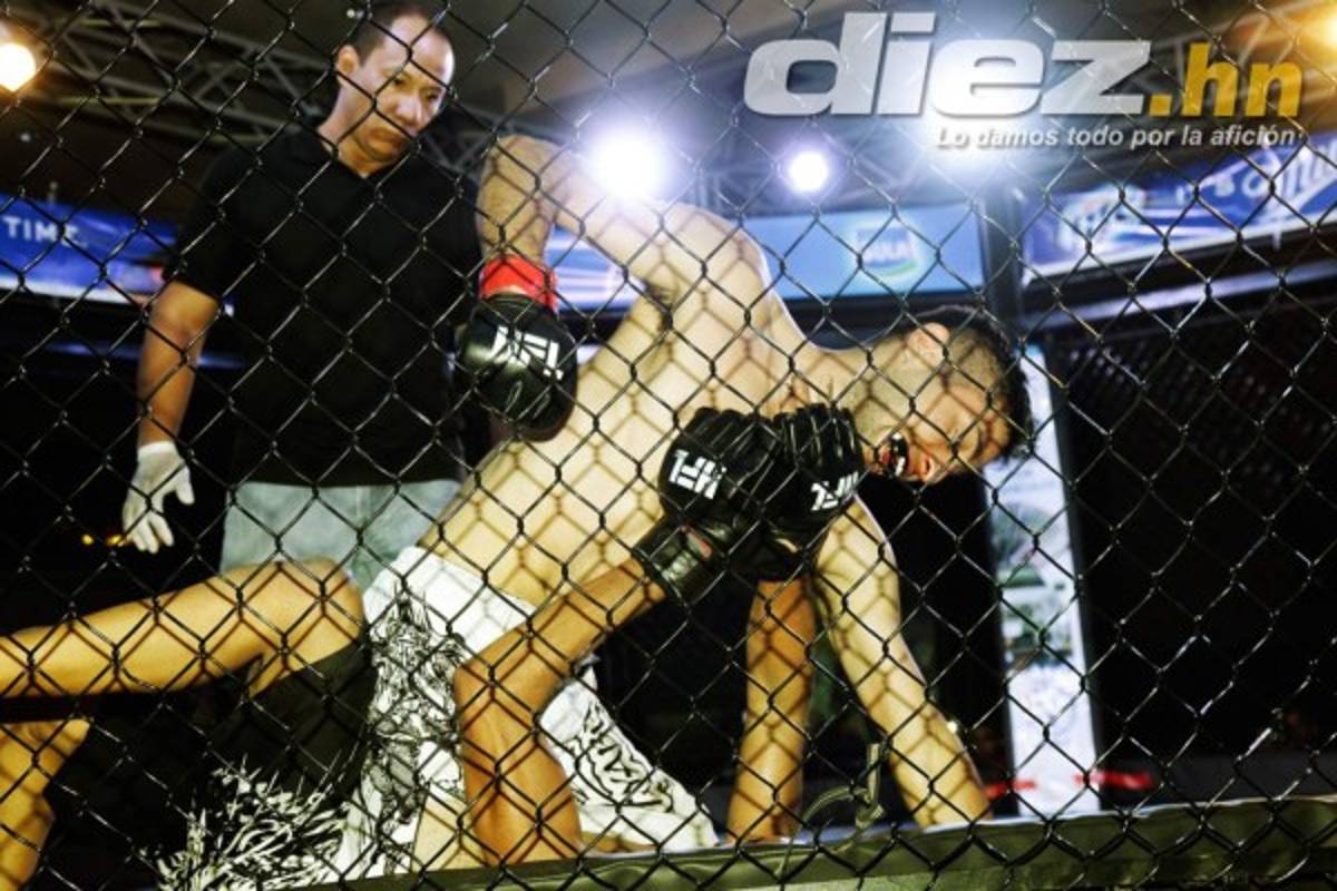 Espectacular velada de artes marciales mixtas de la HFL