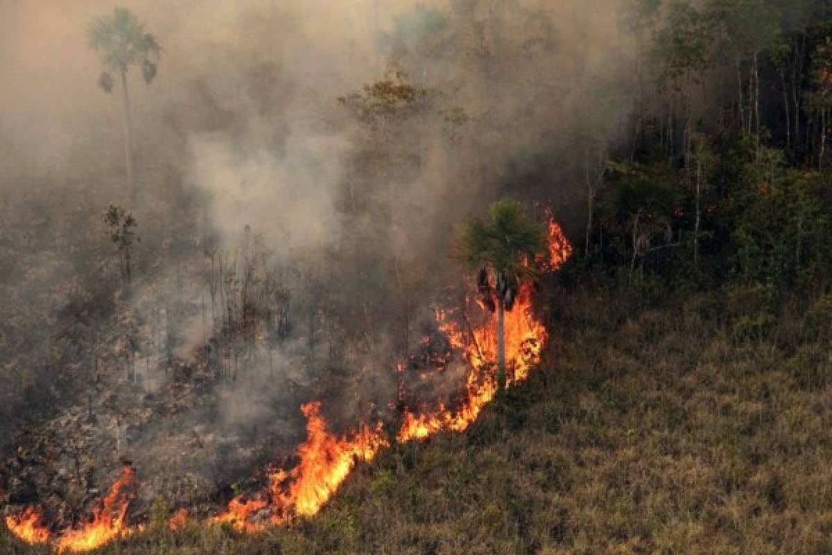 Las imágenes del terrible incendio que devora el Amazonas, el pulmón del mundo