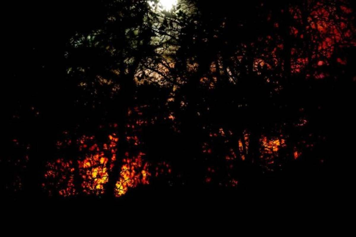 En fotos: Así quedó el helicóptero del presidente del Leicester tras el accidente