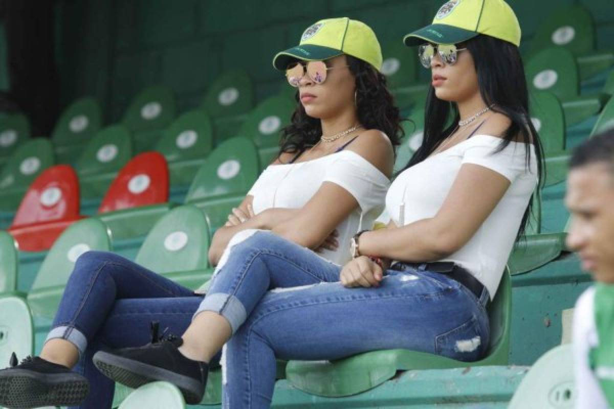 Las chicas más bellas que se han visto en el Yankel, sede de la final Marathón-Motagua