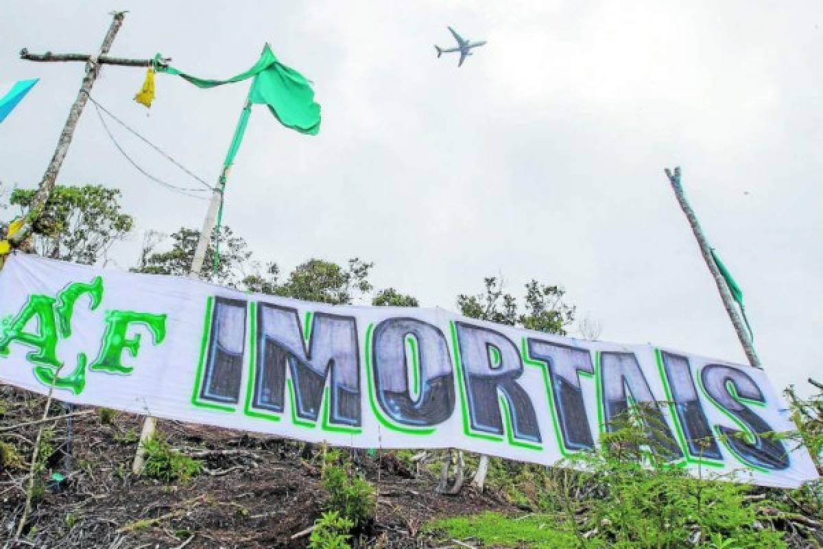 Así luce el cerro donde se estrelló el avión el Chapecoense hace un año