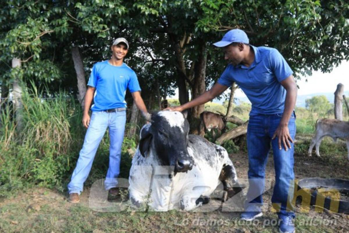 Así es la vida del portero Donis Escober entre ganado en su pueblo natal