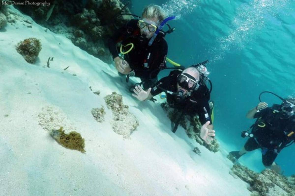 ¡Espectacular! Así disfruta del verano 2019 Sebastián Urrutia, preparador físico de Honduras