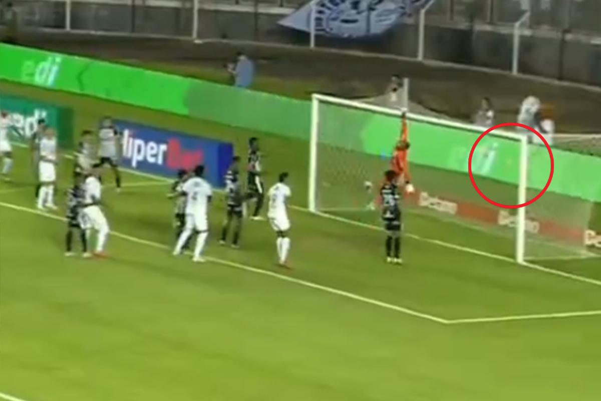 El show de Neymar con el Santos de Brasil: golazo olímpico, asistencias y festejó como Cristiano Ronaldo