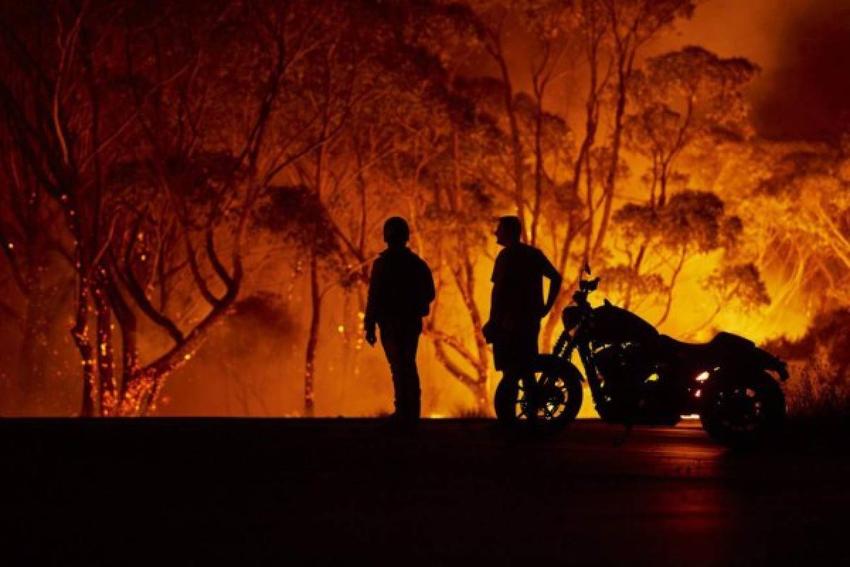 Apocalípticas fotos del brutal incendio en Australia; casi medio millón de animales han muerto
