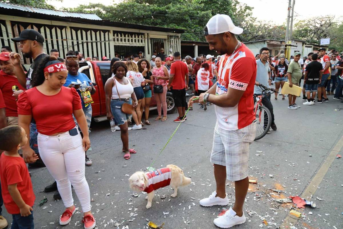 ¡Tremenda fiesta en La Ceiba! Aficionados del Vida se toman la calle festejando el triunfo que los acerca a la salvación