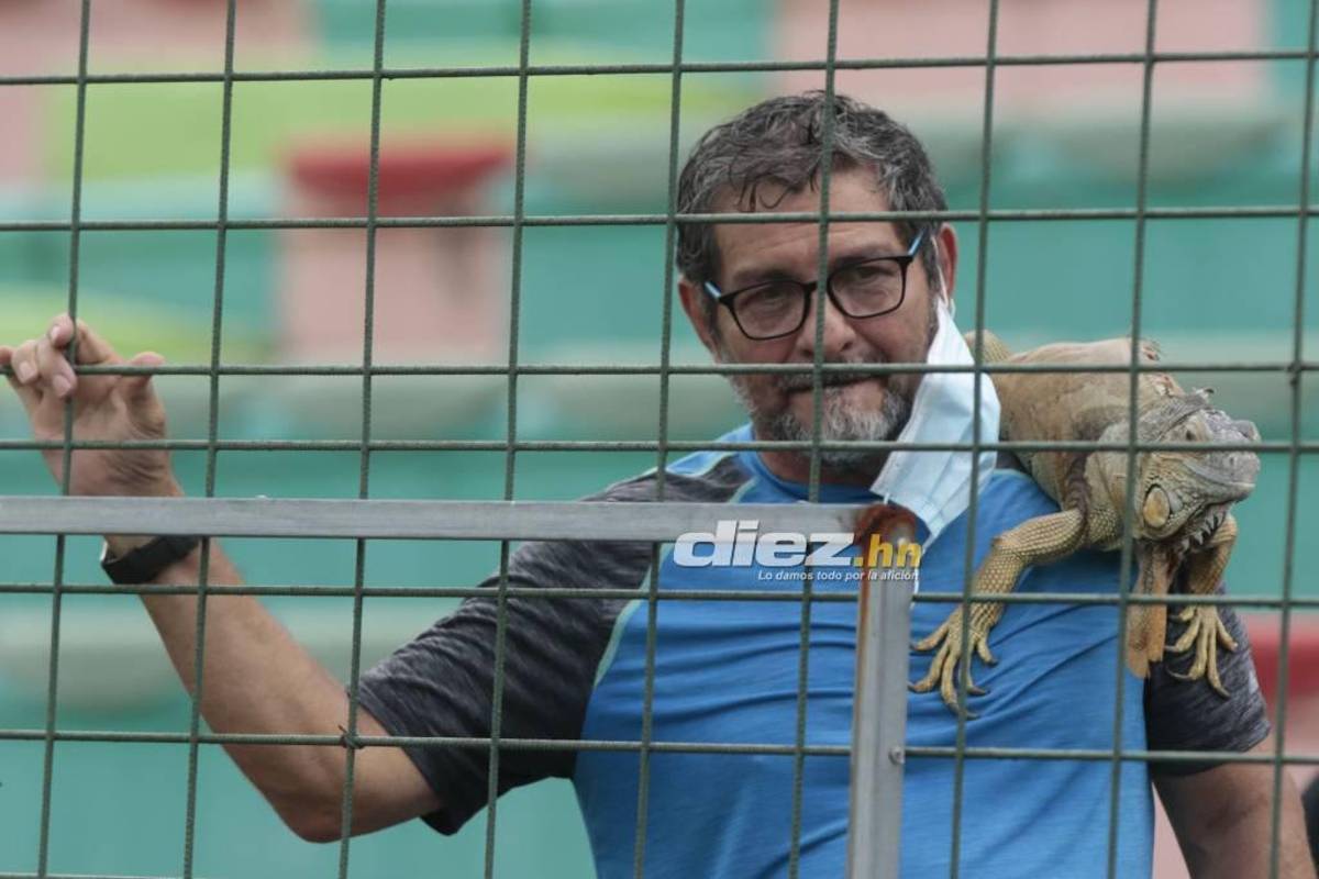 Las bellezas ticas en el Yankel, clasificación de Panamá y el llanto inconsolable de los futbolistas de Cuba