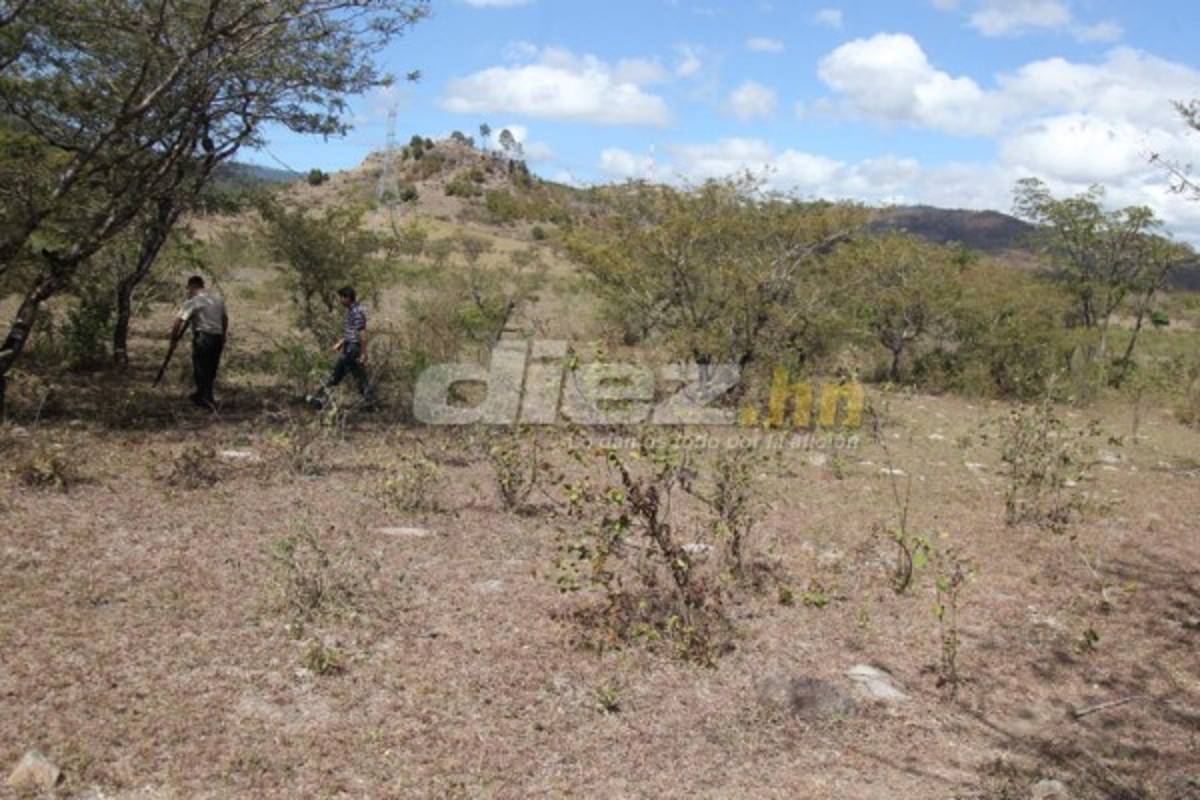 Fotos: En este lugar se edificará la sede del Olimpia de Honduras