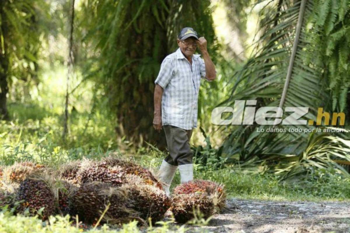 EN FOTOS: Así es la nueva vida de Juan Carlos Acevedo, ex jugador del Real España