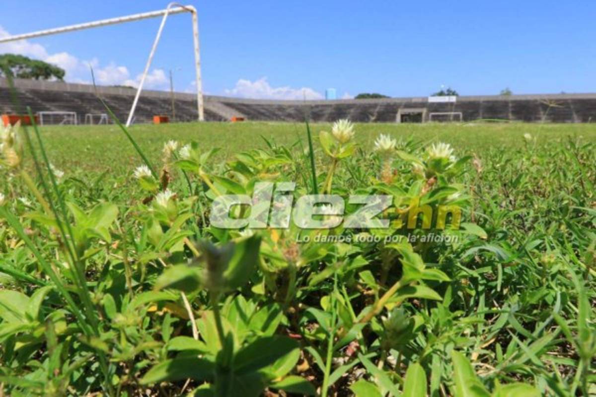 Así transformarán el estadio Roberto Suazo Córdova en La Paz, Honduras