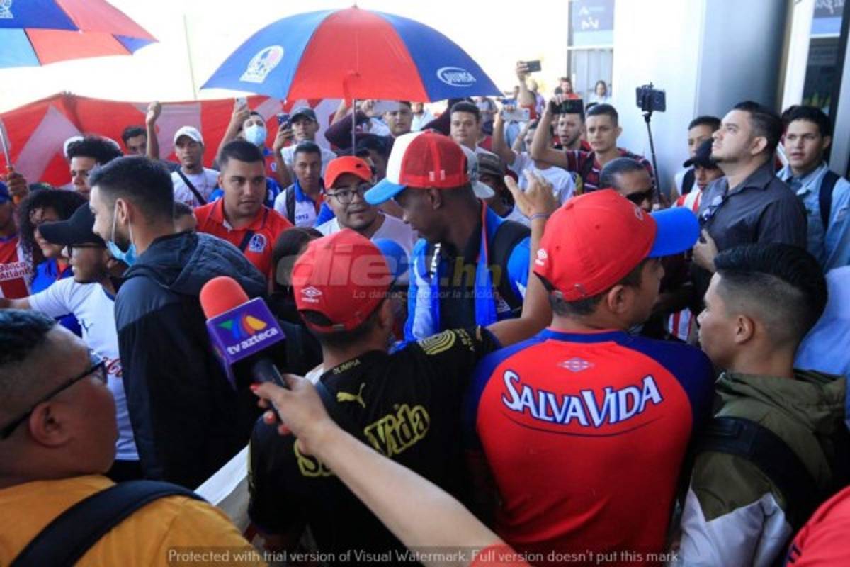 ¡Hasta con pasamontañas, guantes y tapabocas, regresó Olimpia de Canadá!