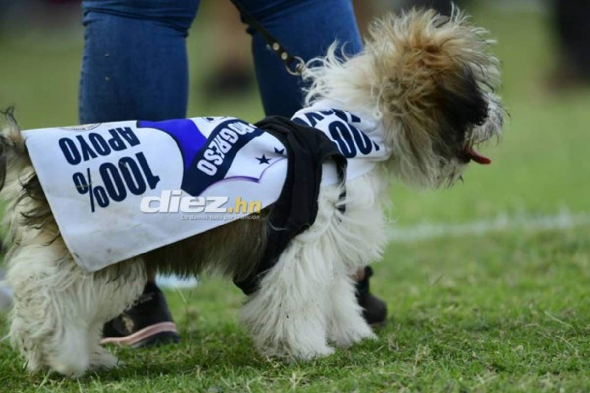 No viste en TV: Apasionado beso, sufrimiento de Elías Nazar y barra del Real España