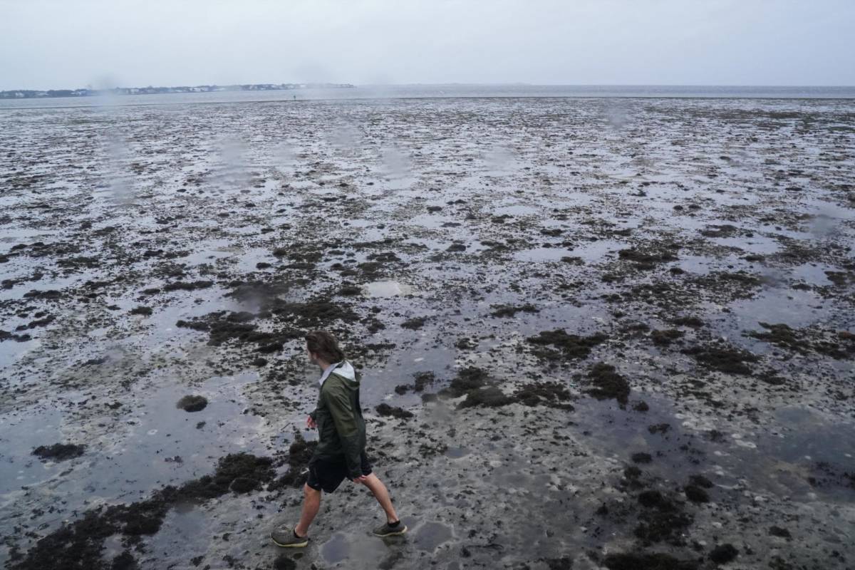 ¡Desastre natural! La Florida ya resiste el impacto del huracán Ian, que se prevé inundará la mayoría de este Estado de EEUU