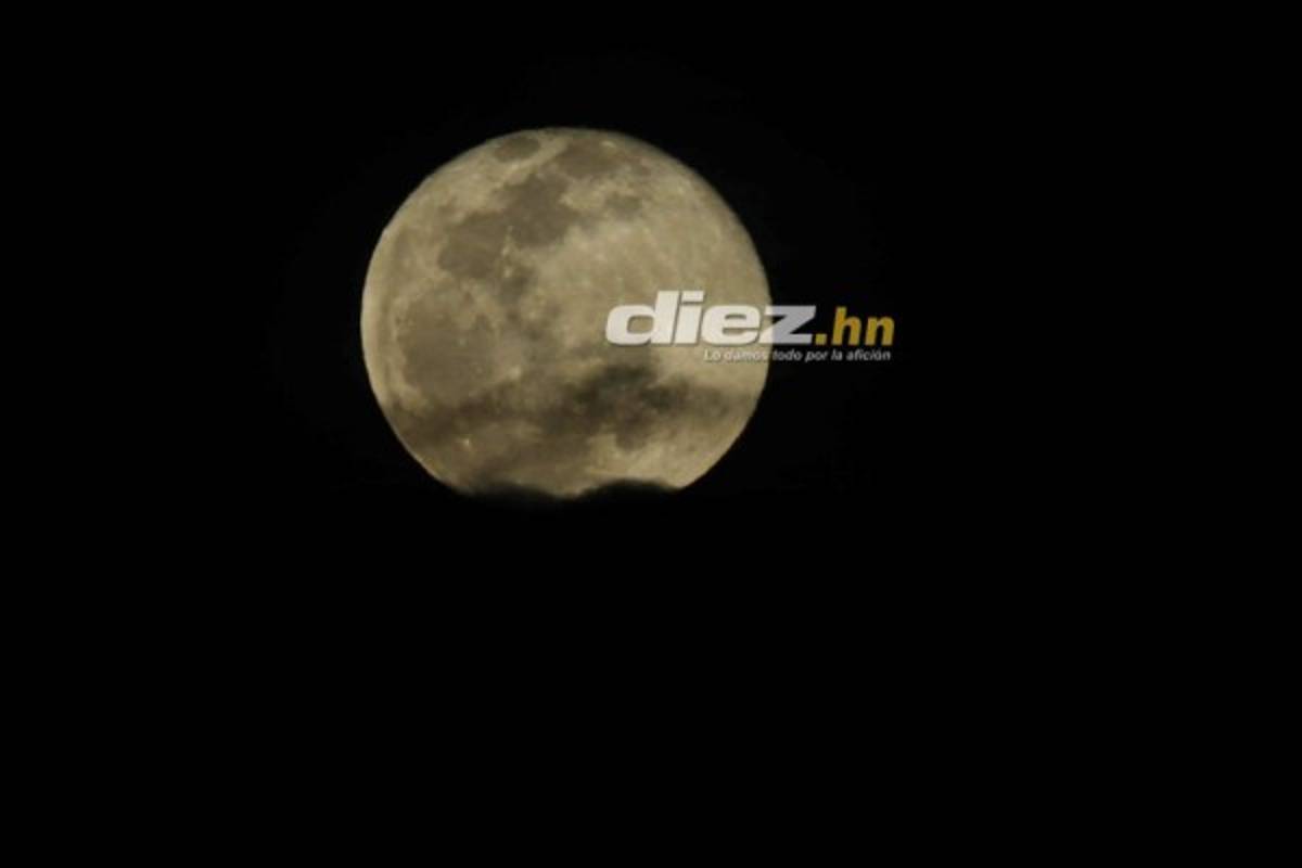 NO SE VIO EN TV: Lo que hizo Emilio tras el partido, el Lobo en el Nacional y las voladas de Edrick