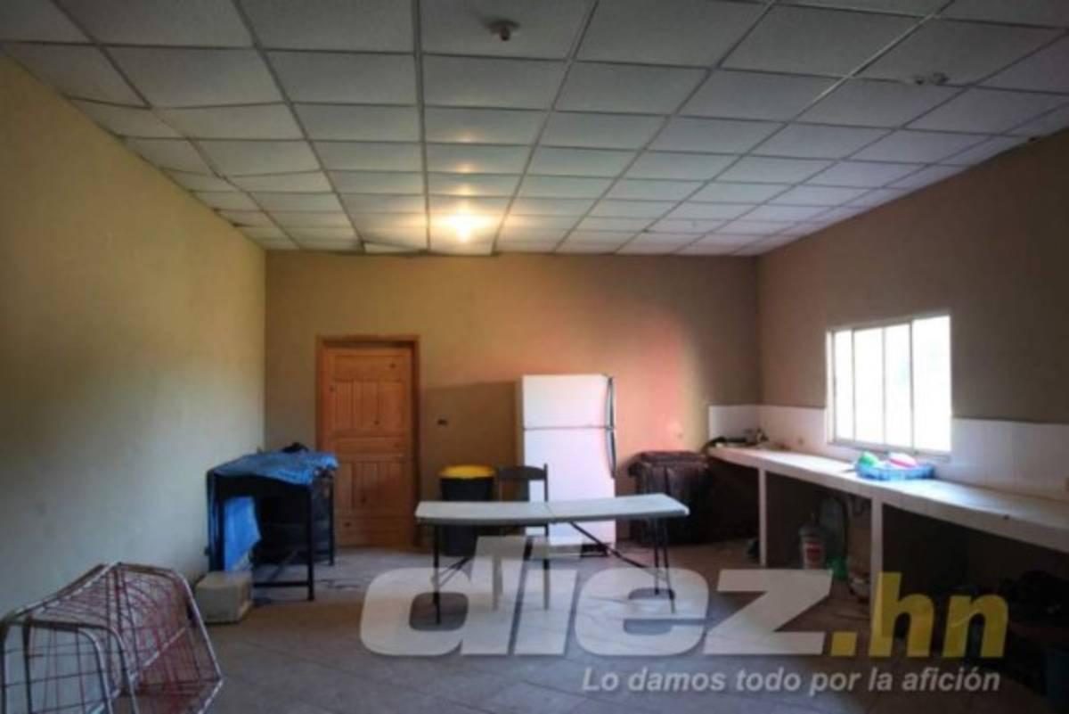 Vida volvería a su sede principal en una concesión por 30 años: presidente Luis Cruz anuncia remodelaciones