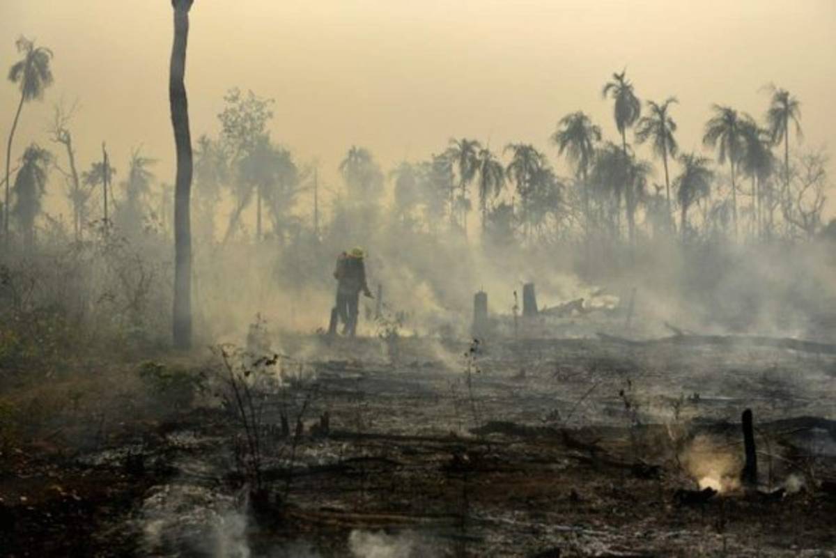 Las imágenes del terrible incendio que devora el Amazonas, el pulmón del mundo