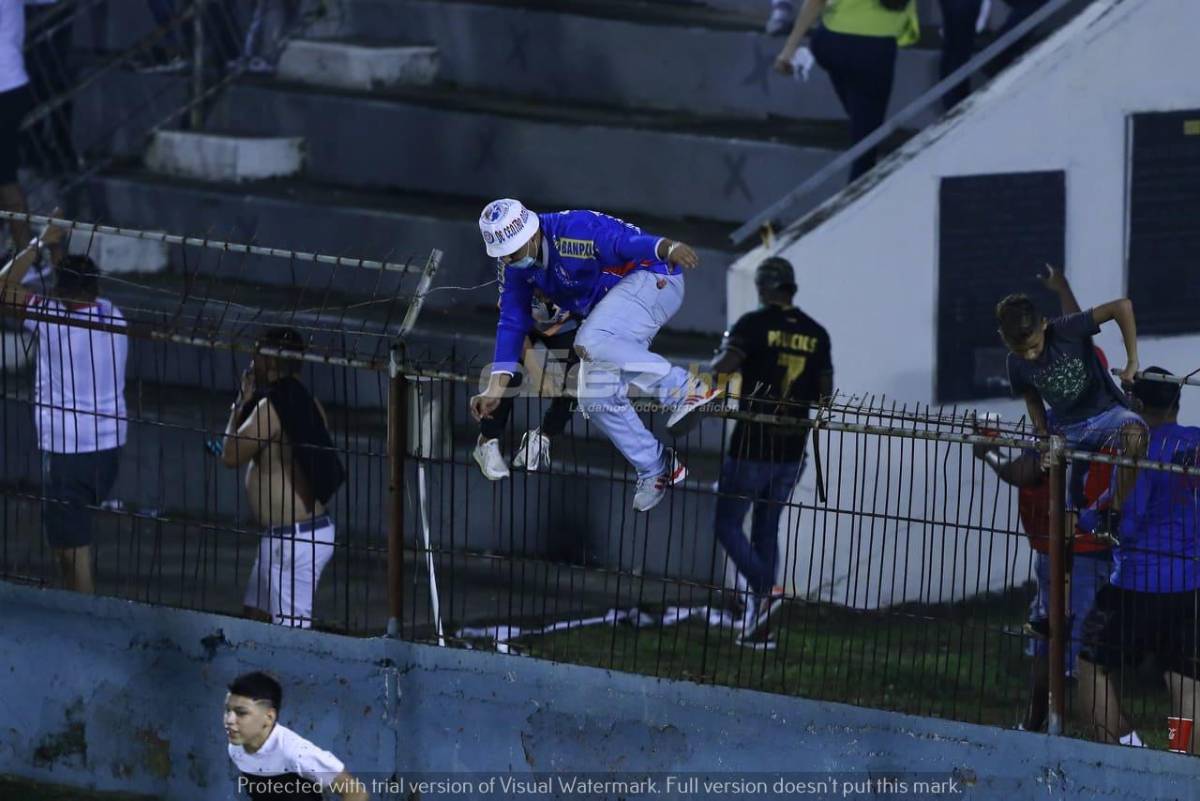 ¡Fiesta! La Ultrafiel invadió la cancha del Ceibeño y se lanzó encima de los jugadores de Olimpia festejando el pase a la final