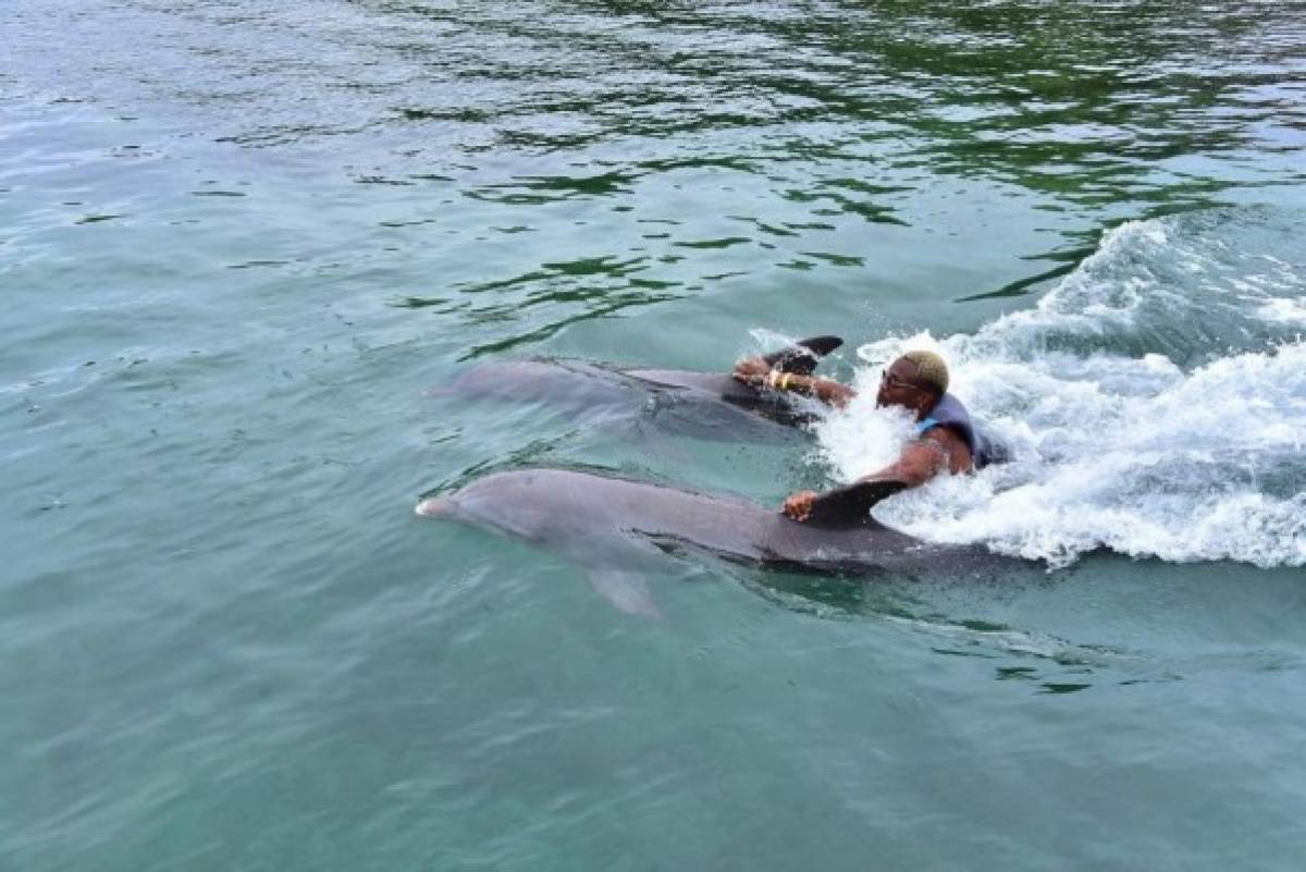 ¡Besos de delfines y buena compañía! Así recargan baterías los jugadores de la Selección de Honduras