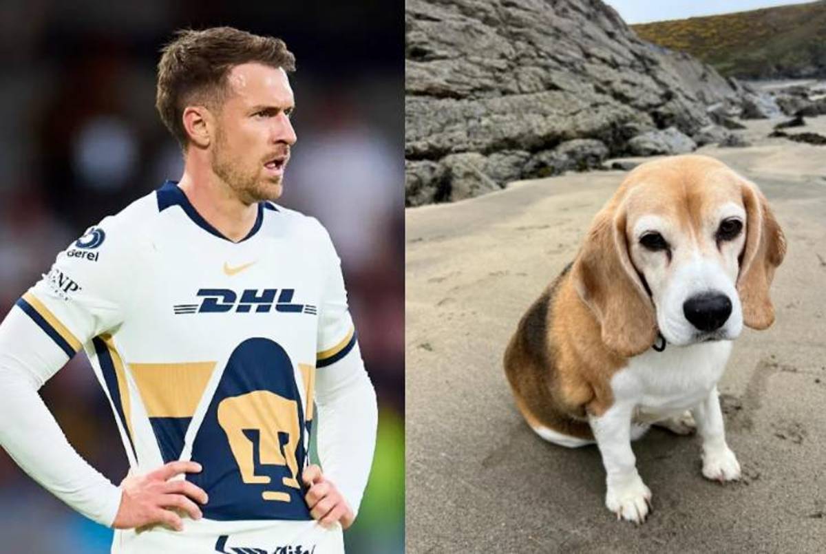 Aaron Ramsey rompe con Pumas y huyó de México: se confirmó el motivo de su drástica decisión