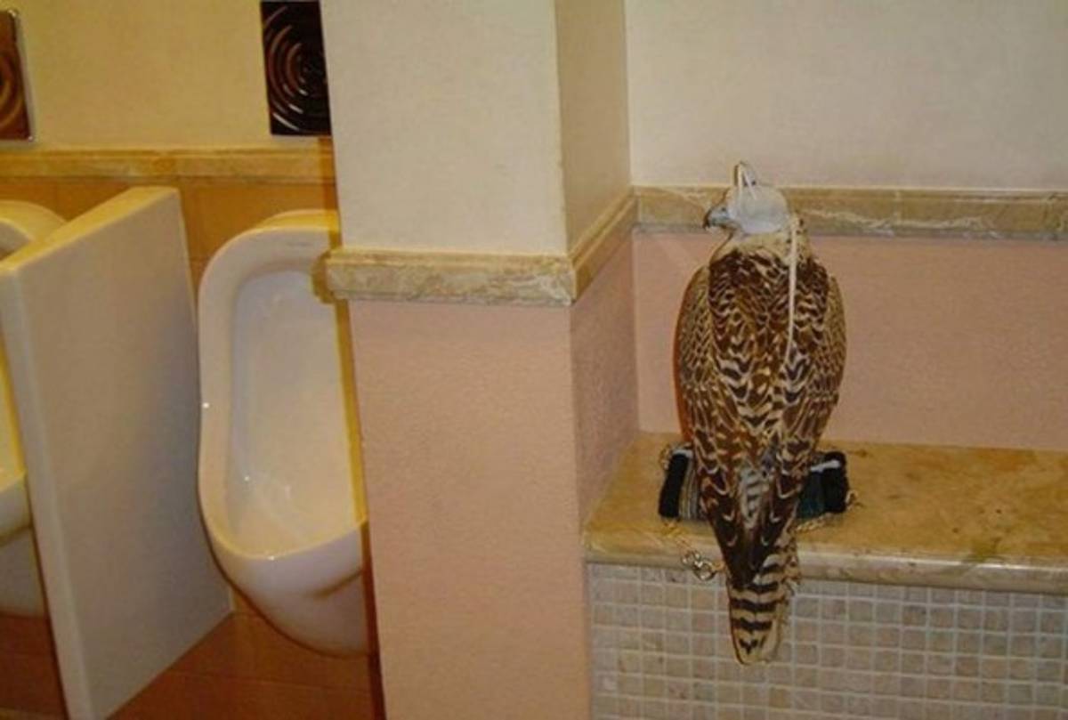 FOTOS: Deportes exóticos y la excéntrica vida de los millonarios en Dubai