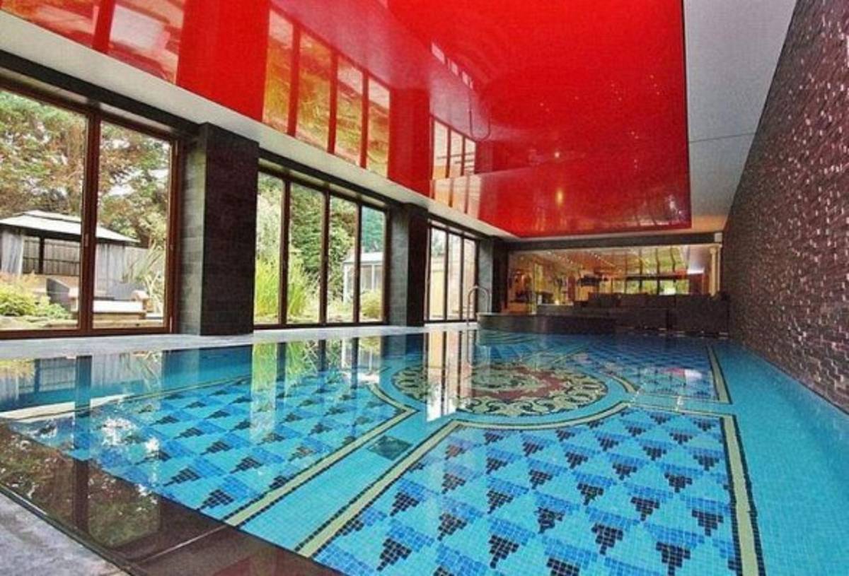 ¡Increíble! El perro de 20 mil dólares que compró Sterling para cuidar su mansión