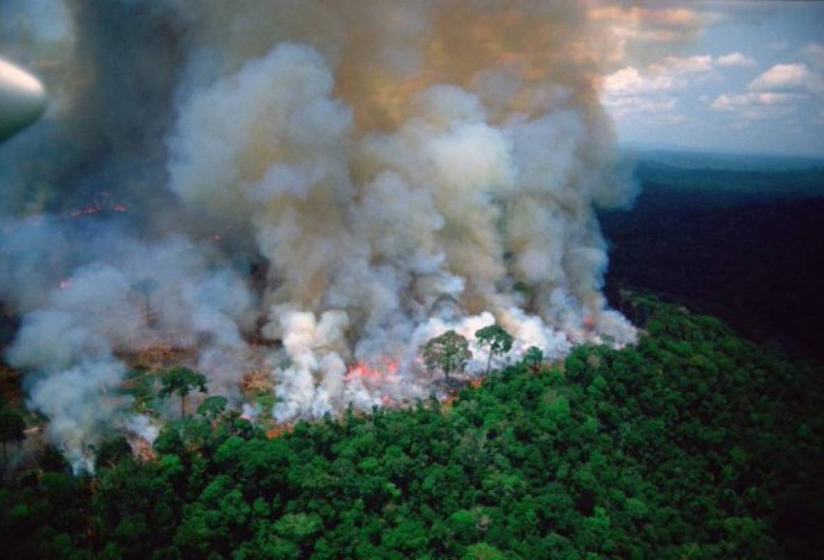 Las imágenes del terrible incendio que devora el Amazonas, el pulmón del mundo