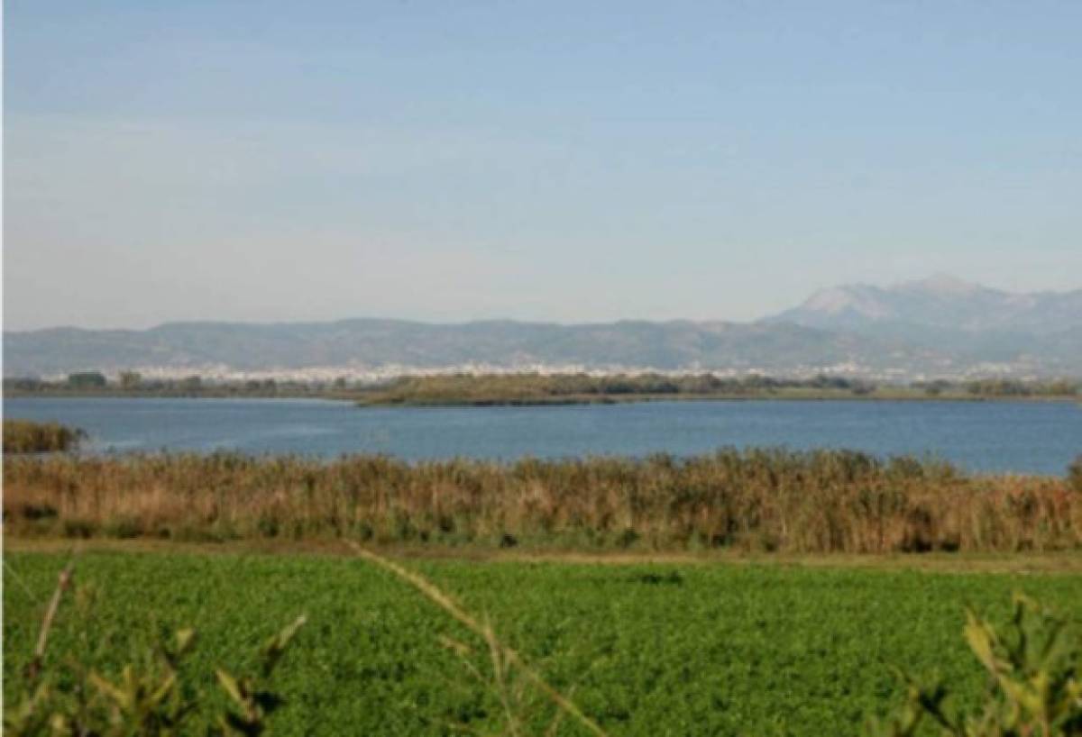 Su historia, economía y cultura: conoce Agrinio, la nueva ciudad donde vivirá Deiby Flores en Grecia