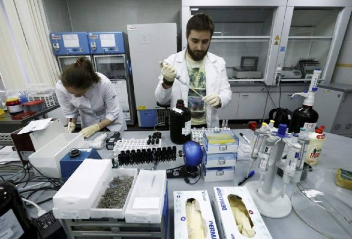 Technicians Ilya Podolsky and Natalia Bochkaryova work at the Russian anti-doping laboratory in Moscow, Russia, May 24, 2016. REUTERS/Sergei Karpukhin - RTSFR66