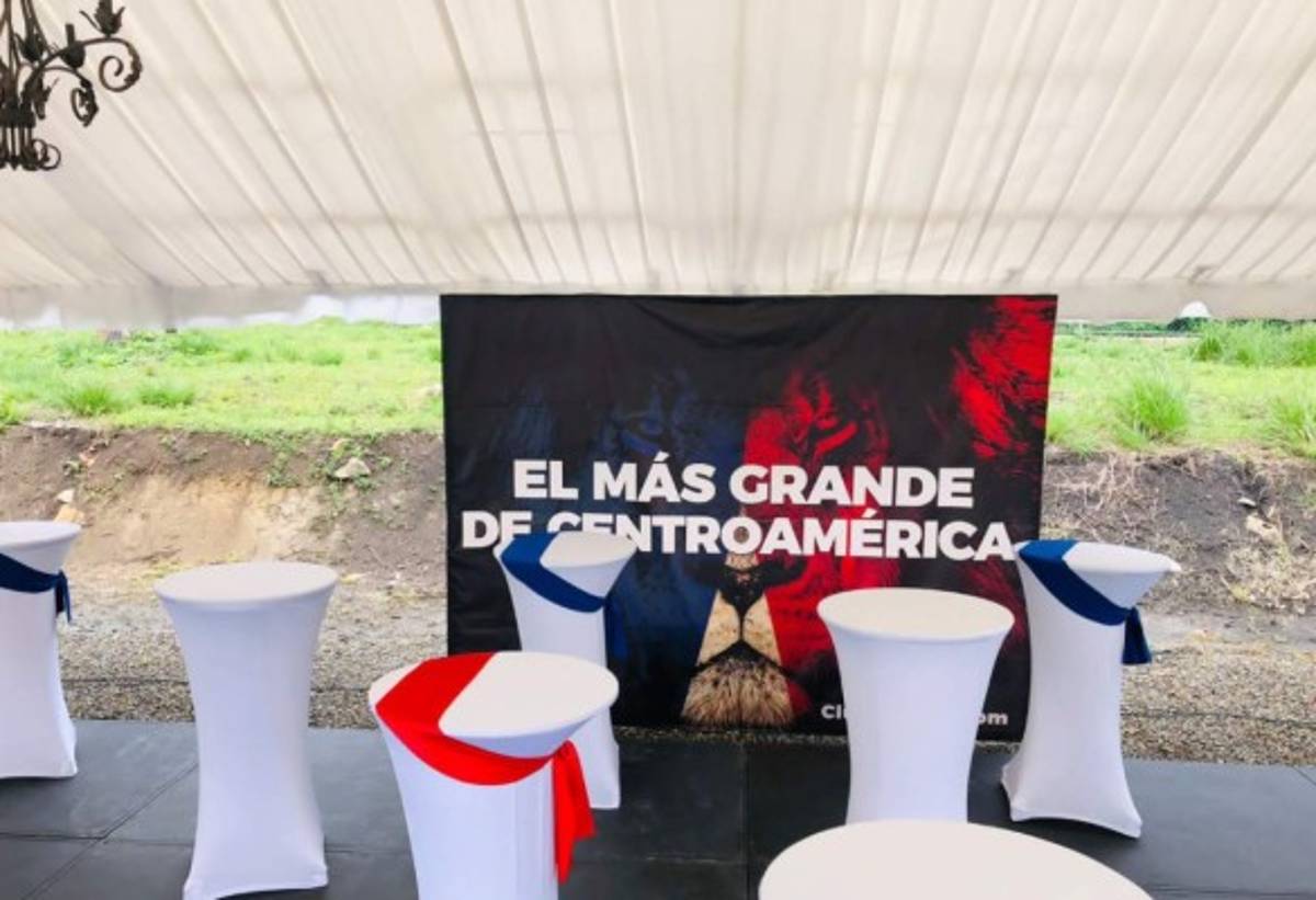 La oficina de Troglio, gimnasio y tres canchas: Así es la espectacular nueva sede del Olimpia