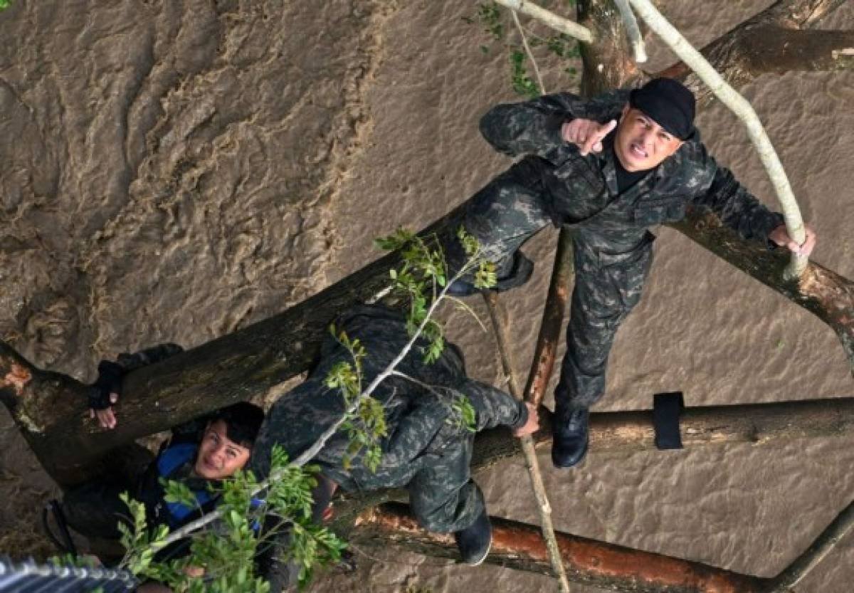 Impactante: El dramático rescate de hondureños que estaban en un árbol tras el paso de Iota