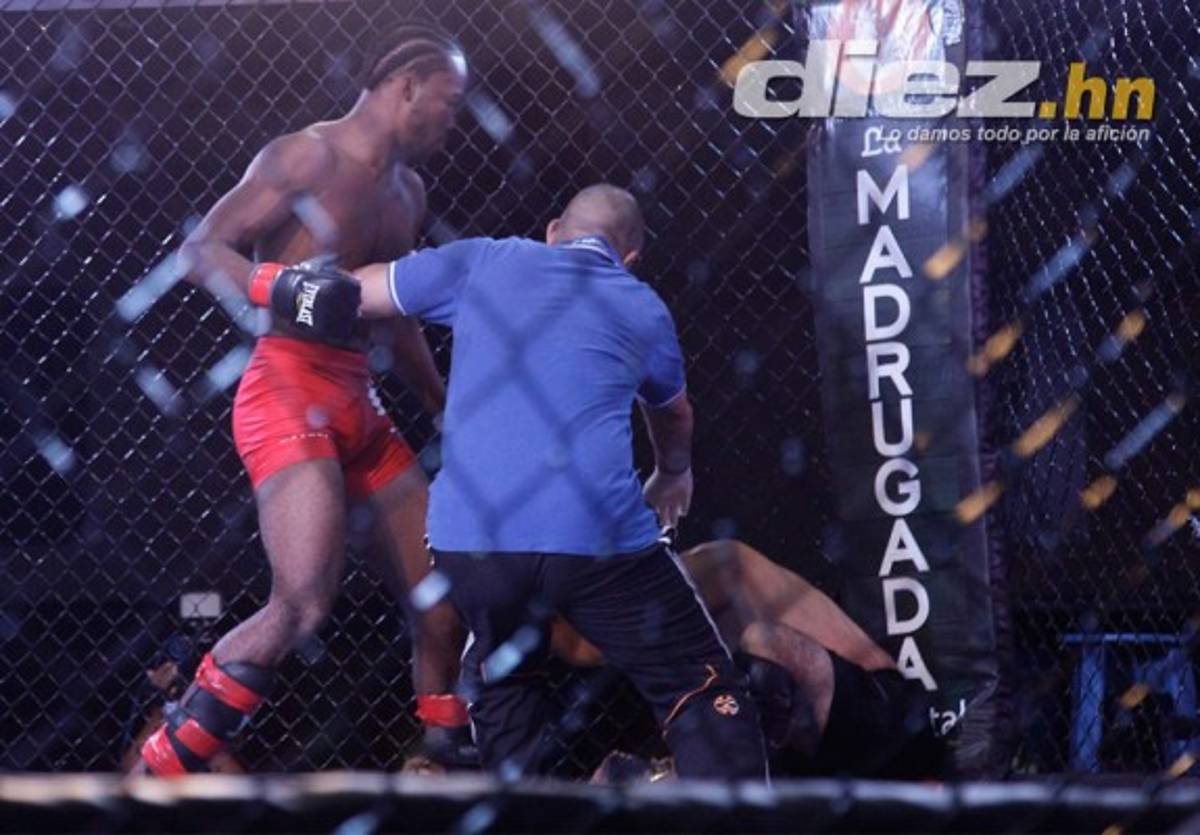 Espectacular velada de artes marciales mixtas de la HFL