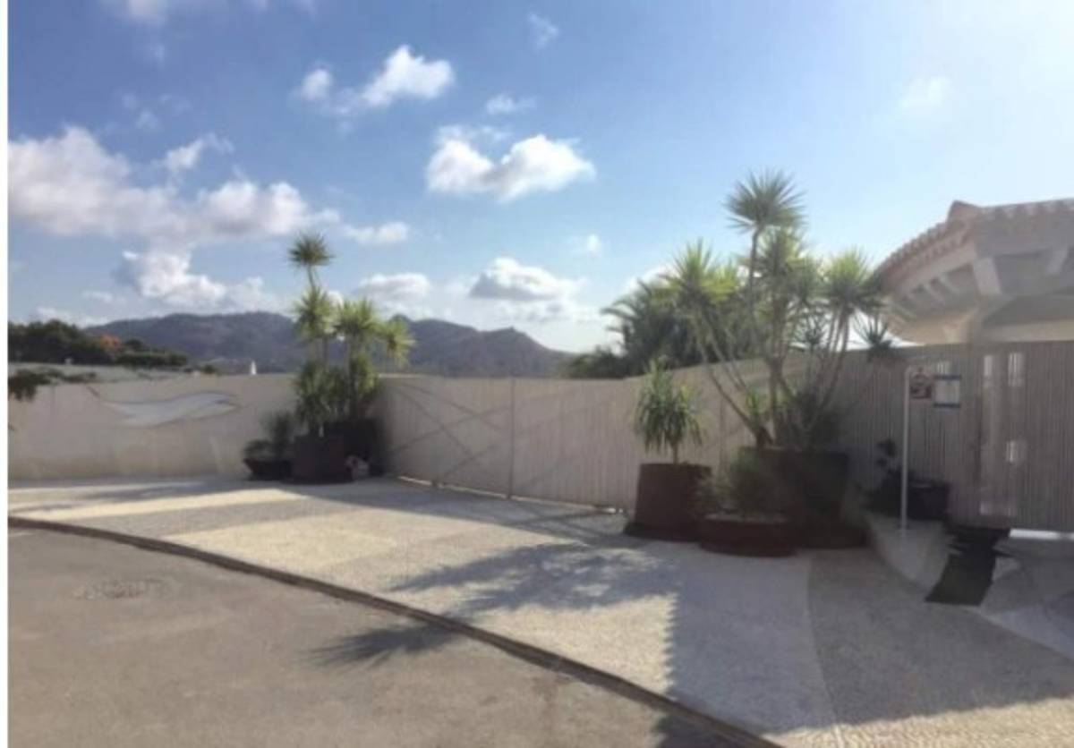 Ocho mansiones y hasta helicóptero: La millonaria vida Mike Ashley, quien venderá al Newcastle