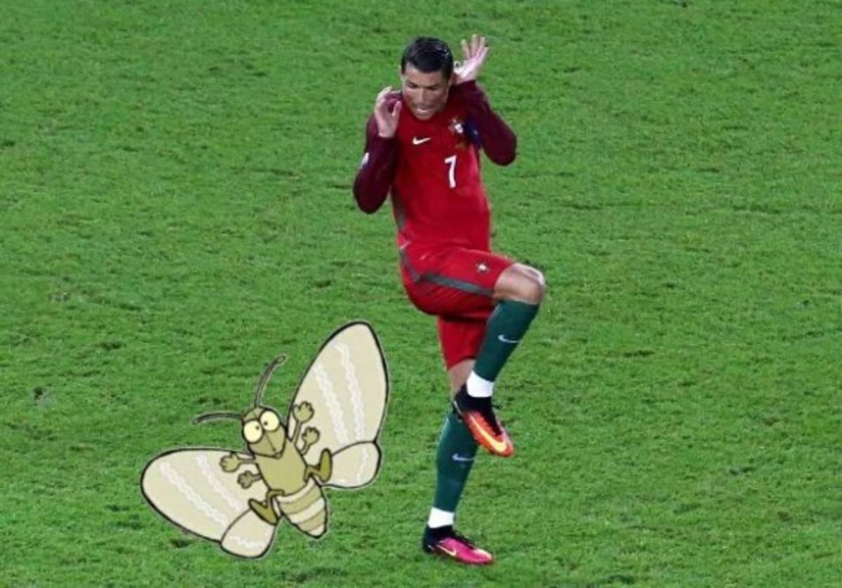 Los mejores memes que dejó la final de la Eurocopa entre Francia y Portugal