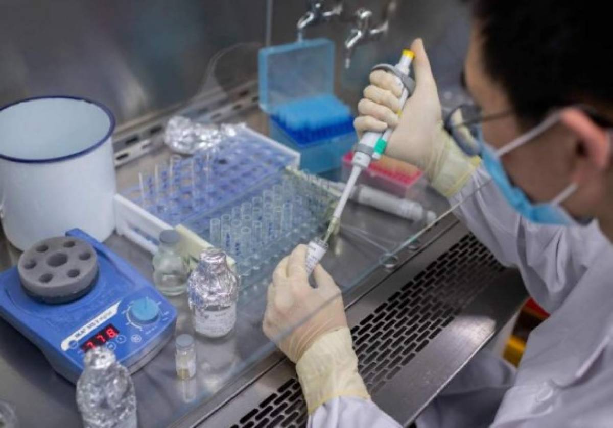 Coronavac: La vacuna que trabajan en China para combatir la pandemia del coronavirus