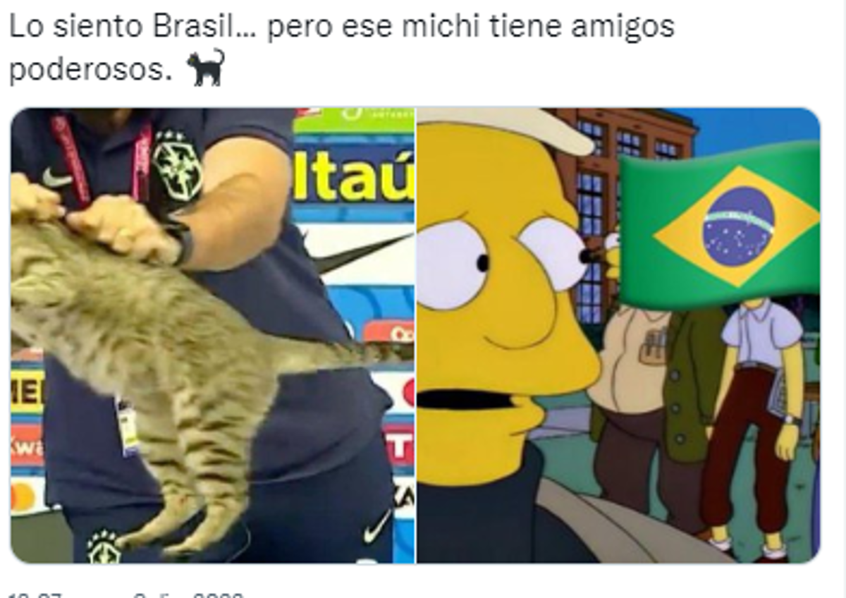 La venganza del michi: memes destrozan a Brasil tras quedar eliminado del Mundial ante Croacia