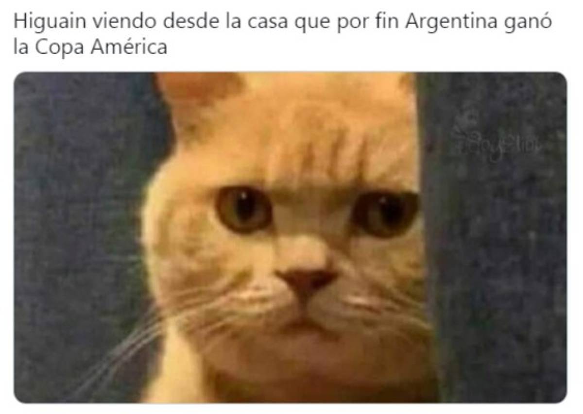Los nuevos memes de Argentina campeón de la Copa América tienen una víctima más: Higuaín; no se olvidan de Messi y Neymar