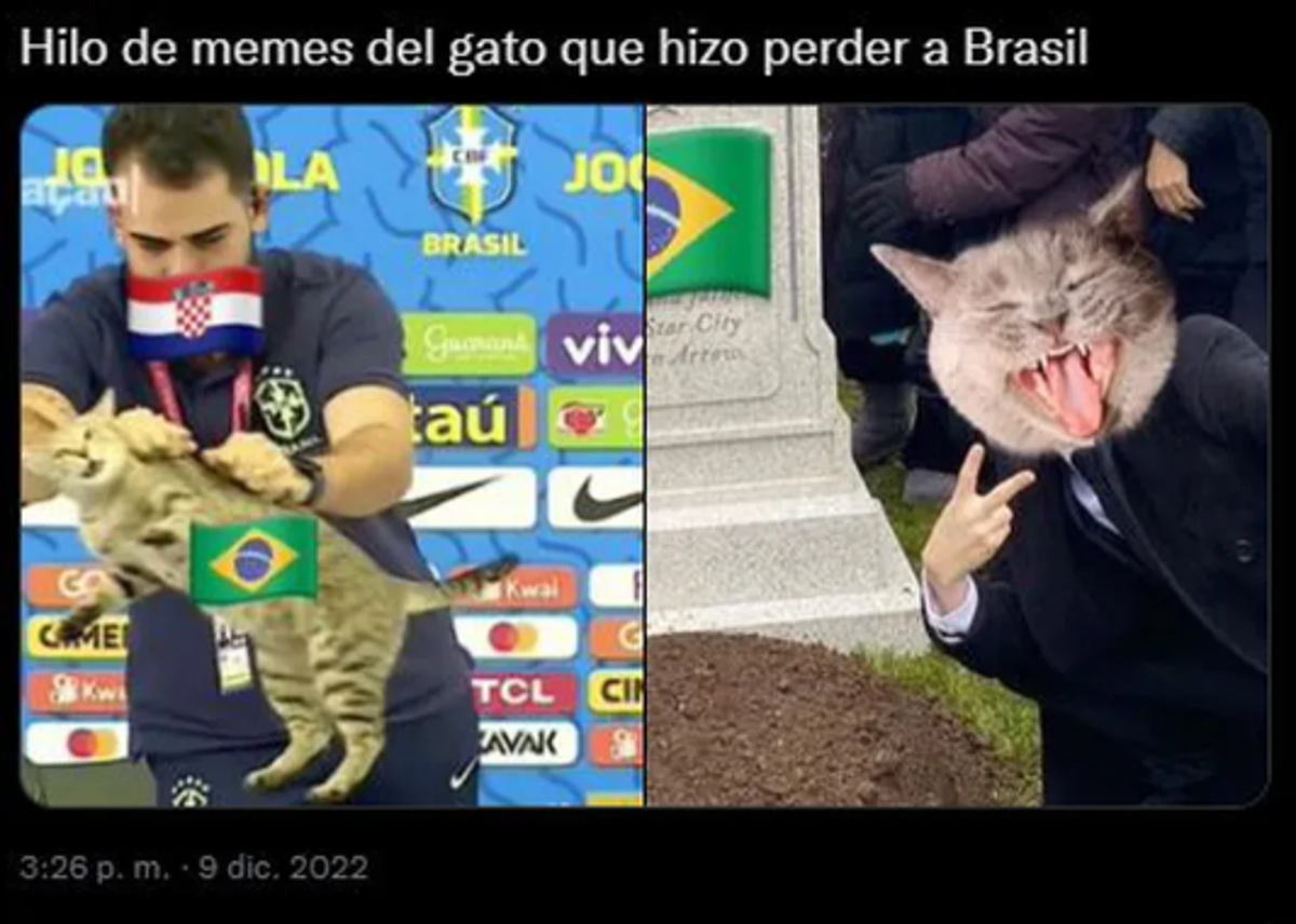 La venganza del michi: memes destrozan a Brasil tras quedar eliminado del Mundial ante Croacia