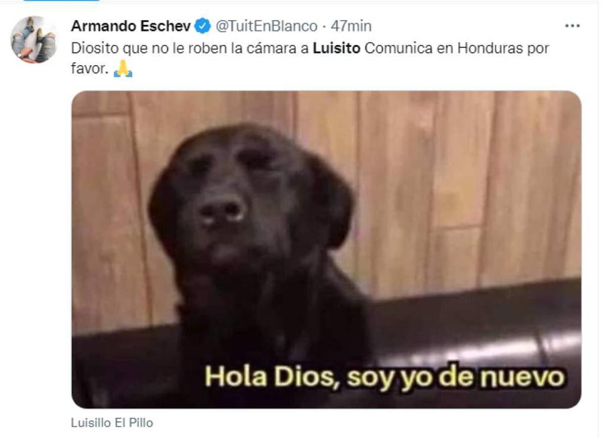 Para reír: Los divertidos memes de la llegada de Luisito Comunica a Honduras ¿Cómo sería su graduación universitaria?