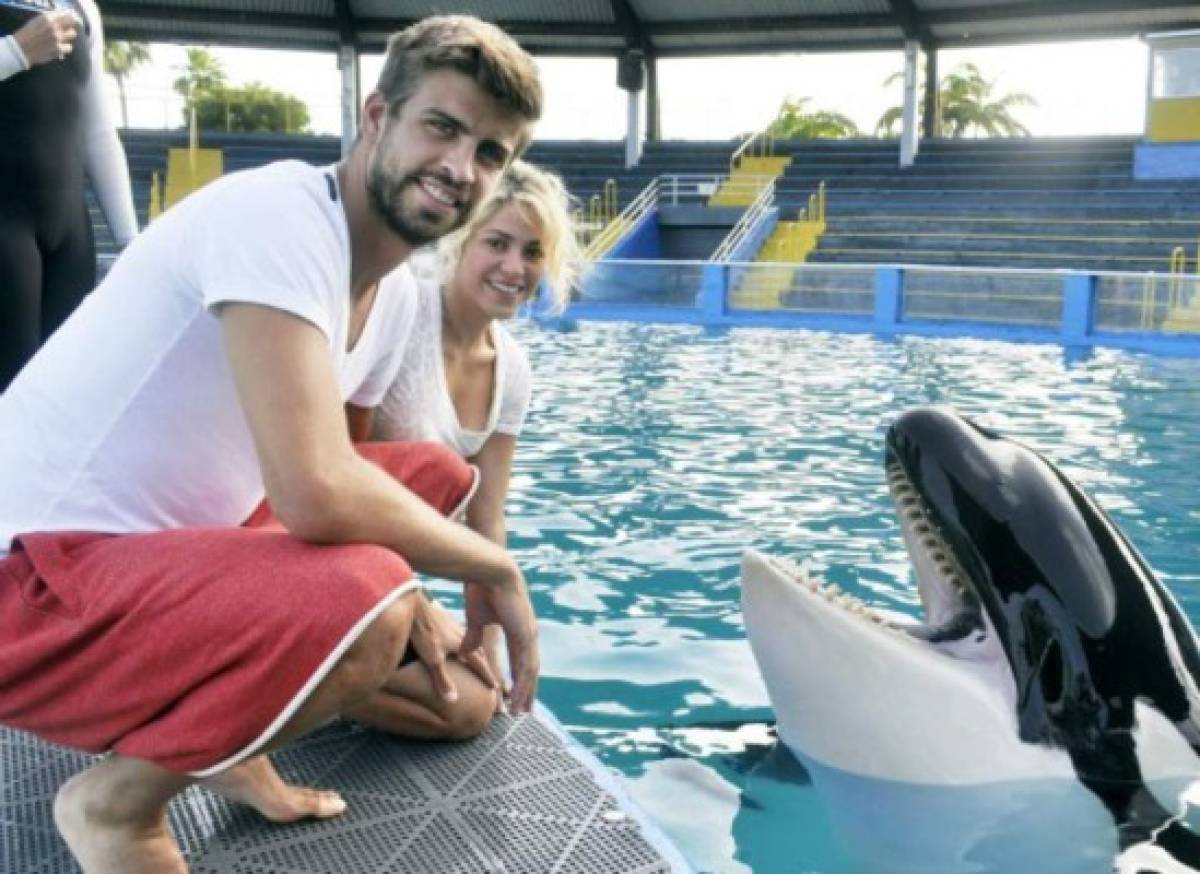 Piqué y Shakira, la pareja que vive rodeada entre romance y polémica