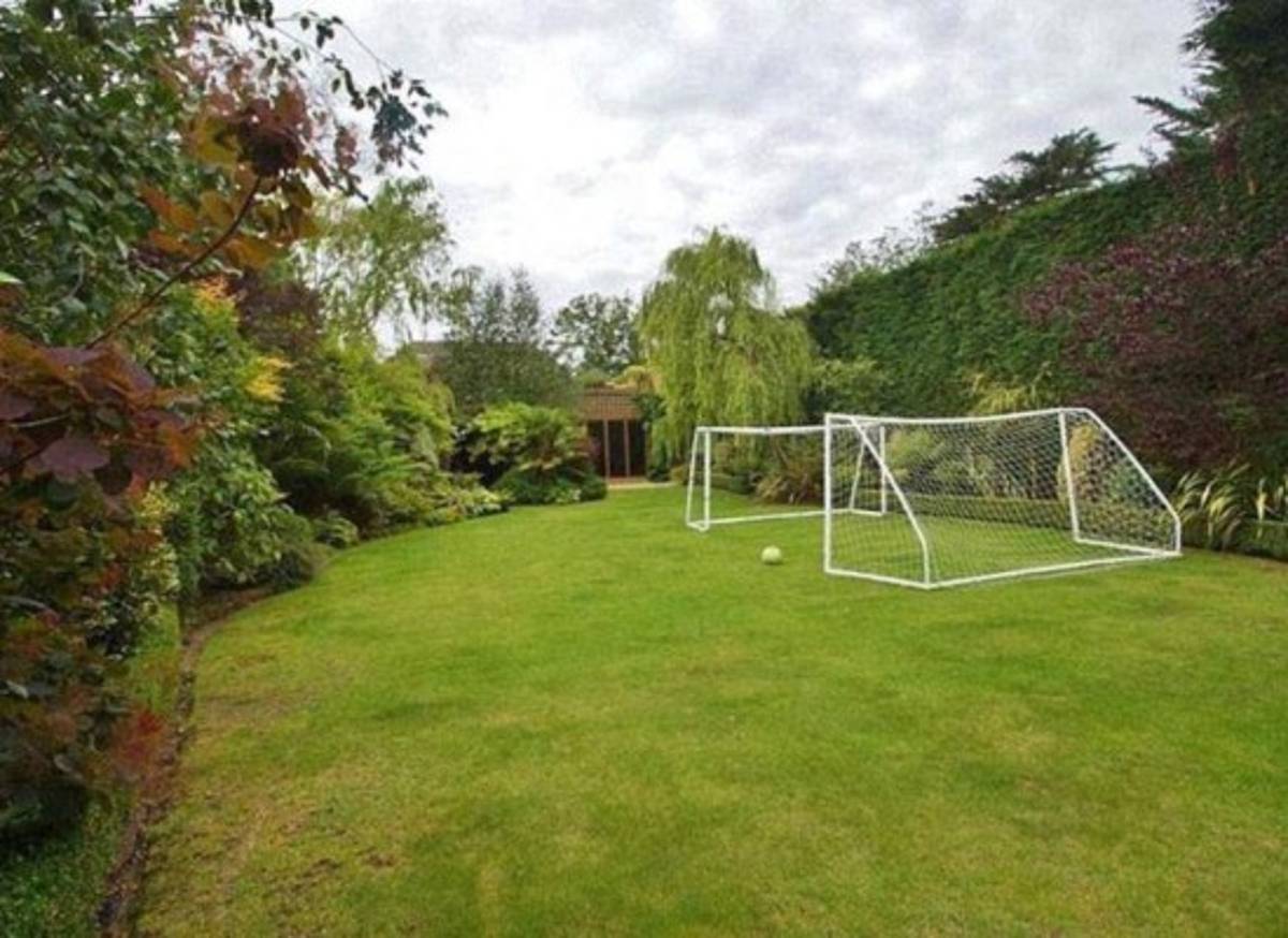 ¡Increíble! El perro de 20 mil dólares que compró Sterling para cuidar su mansión