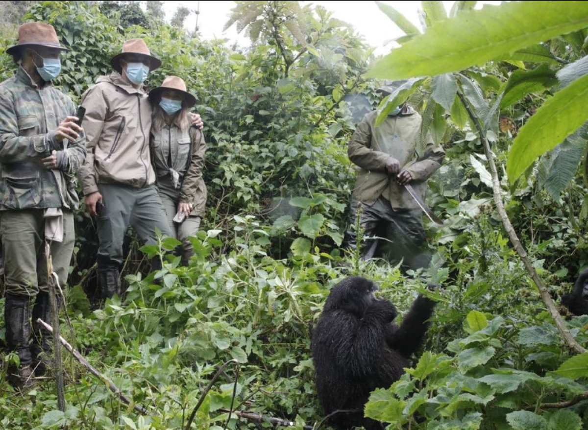 Con elefantes y gorilas: las imperdibles fotos de Sergio Ramos y Keylor Navas en uno de los países más exóticos del mundo
