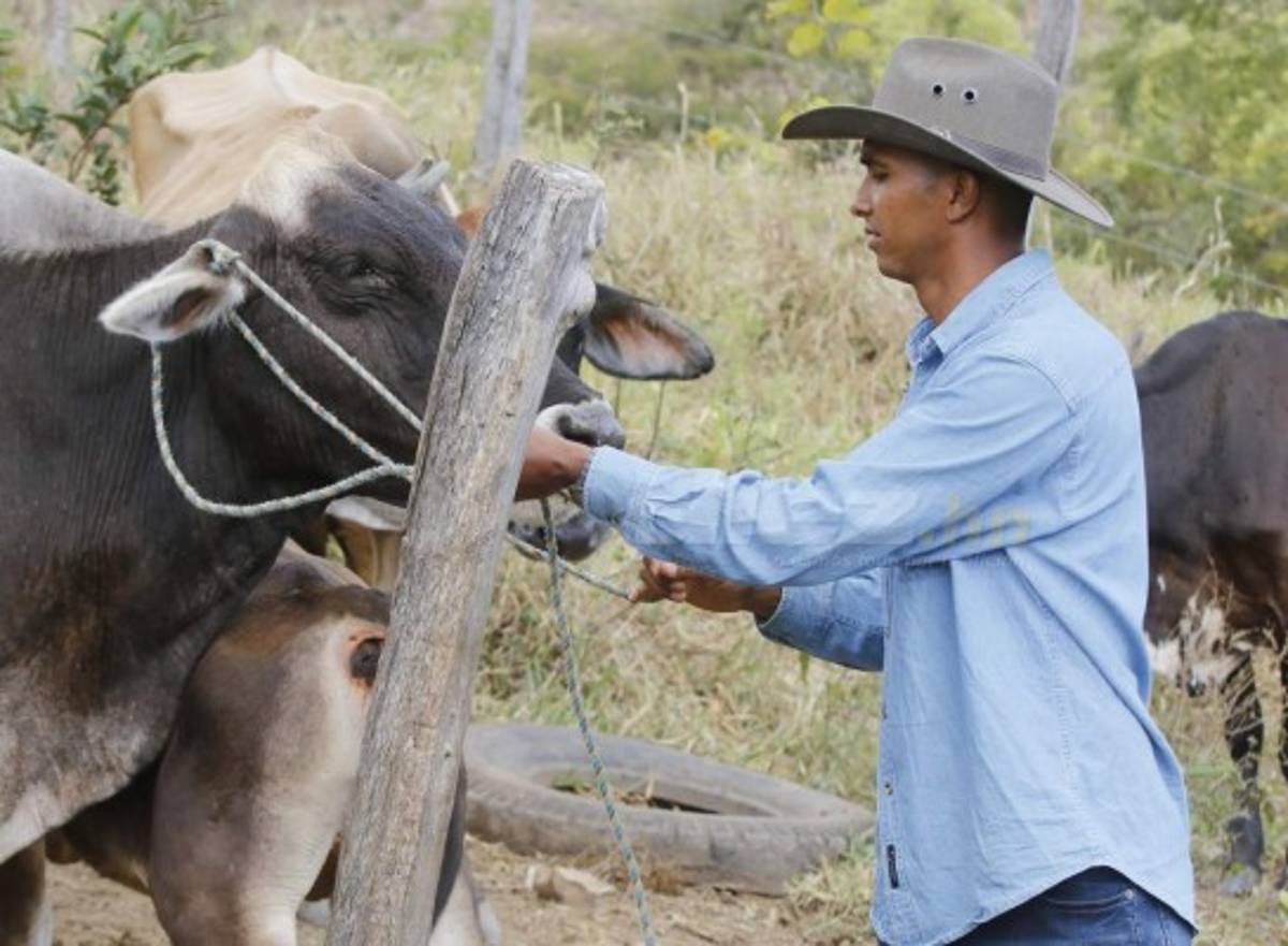 Donis Escober, ganadero: de sombrero y buen jinete; cambió la pelota por el ordeño de vacas