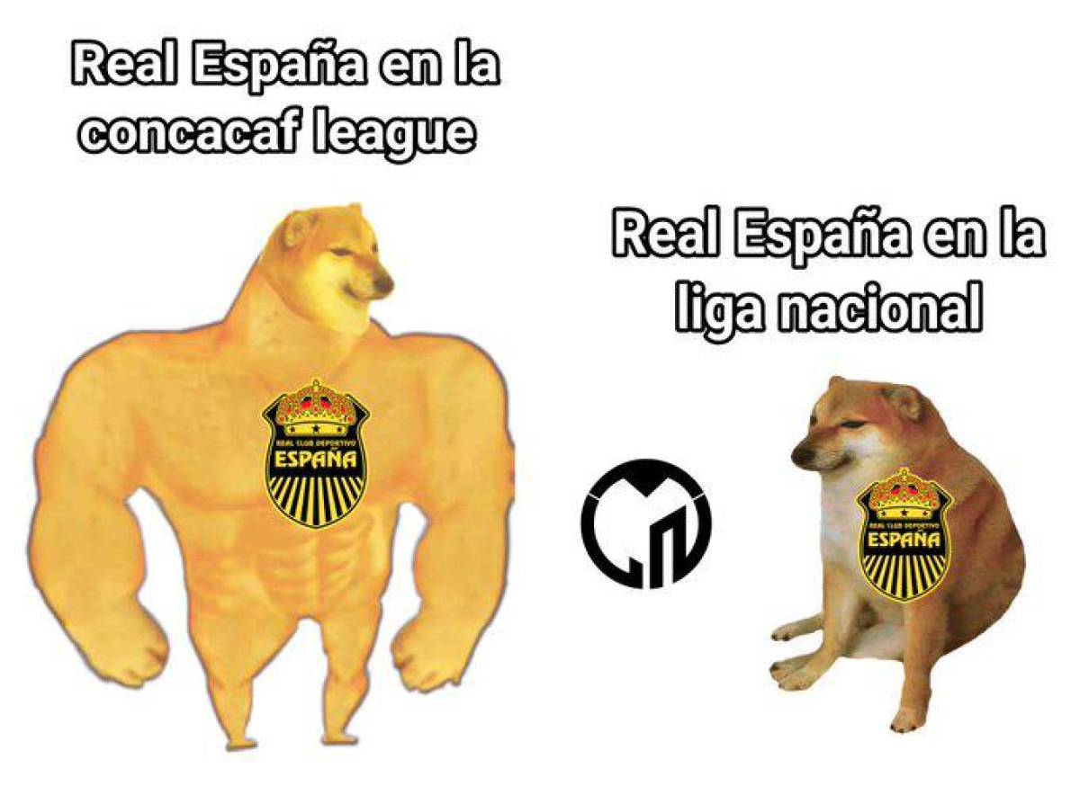 Los mejores memes que dejó la jornada 10 del torneo Apertura 2022 donde no perdonan al Vida ni al Real España