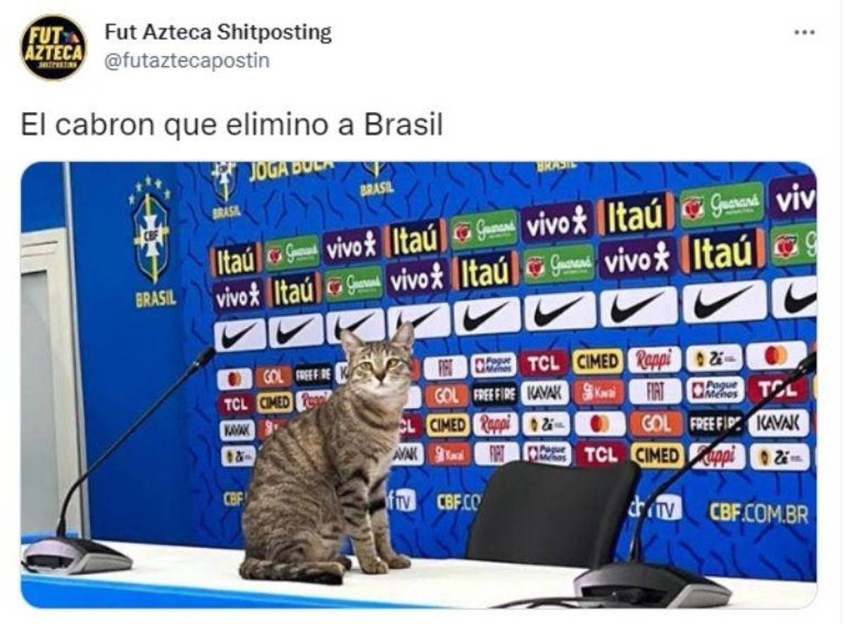 La venganza del michi: memes destrozan a Brasil tras quedar eliminado del Mundial ante Croacia