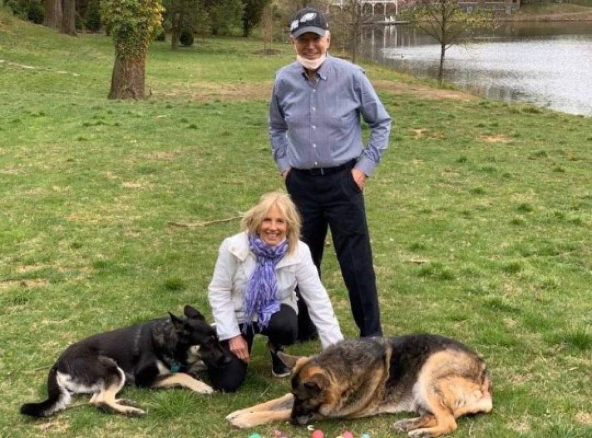 ¿Qué hicieron? Expulsan a los dos perros del presidente Joe Biden de la Casa Blanca