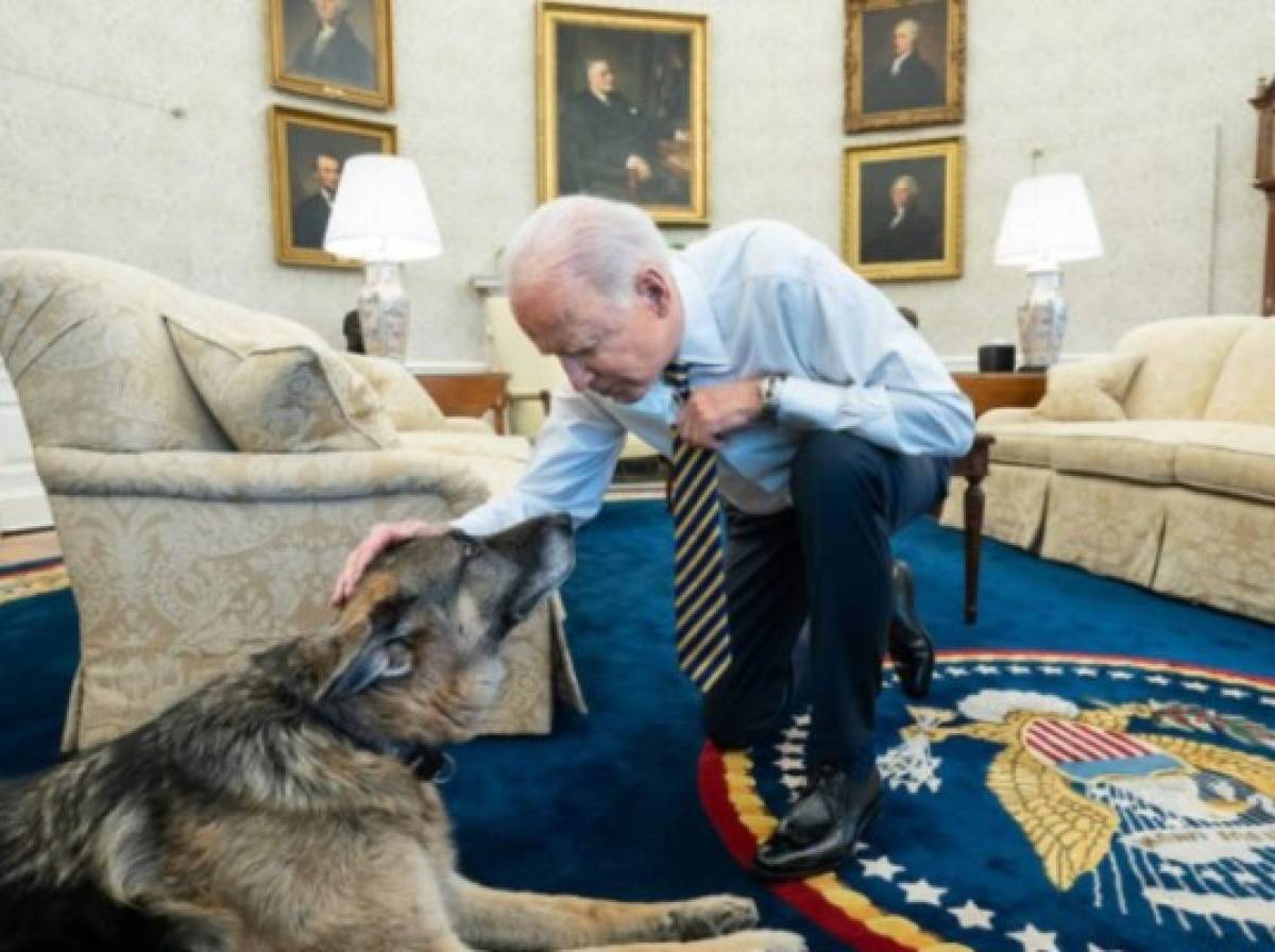 ¿Qué hicieron? Expulsan a los dos perros del presidente Joe Biden de la Casa Blanca