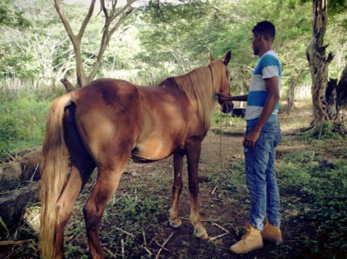 Policías, albañiles, barberos, pintores y pescadores... ¡La otra profesión de los futbolistas hondureños!