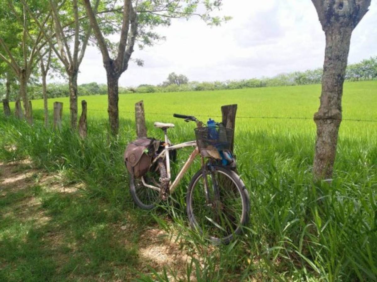 Así es América, la bicicleta que le robaron a Tabaré Alonso en Honduras