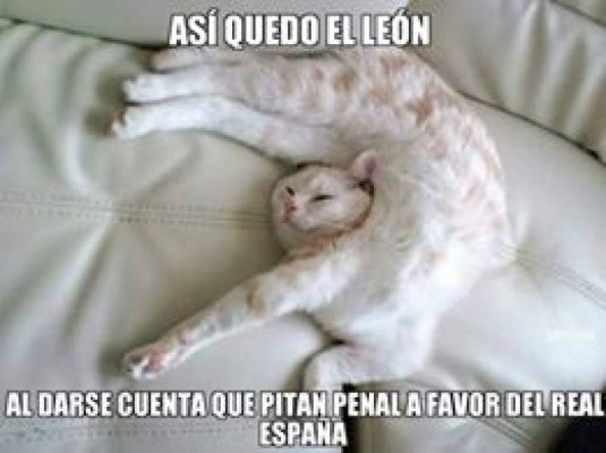 Con los memes se burlan del Olimpia tras perder el clásico