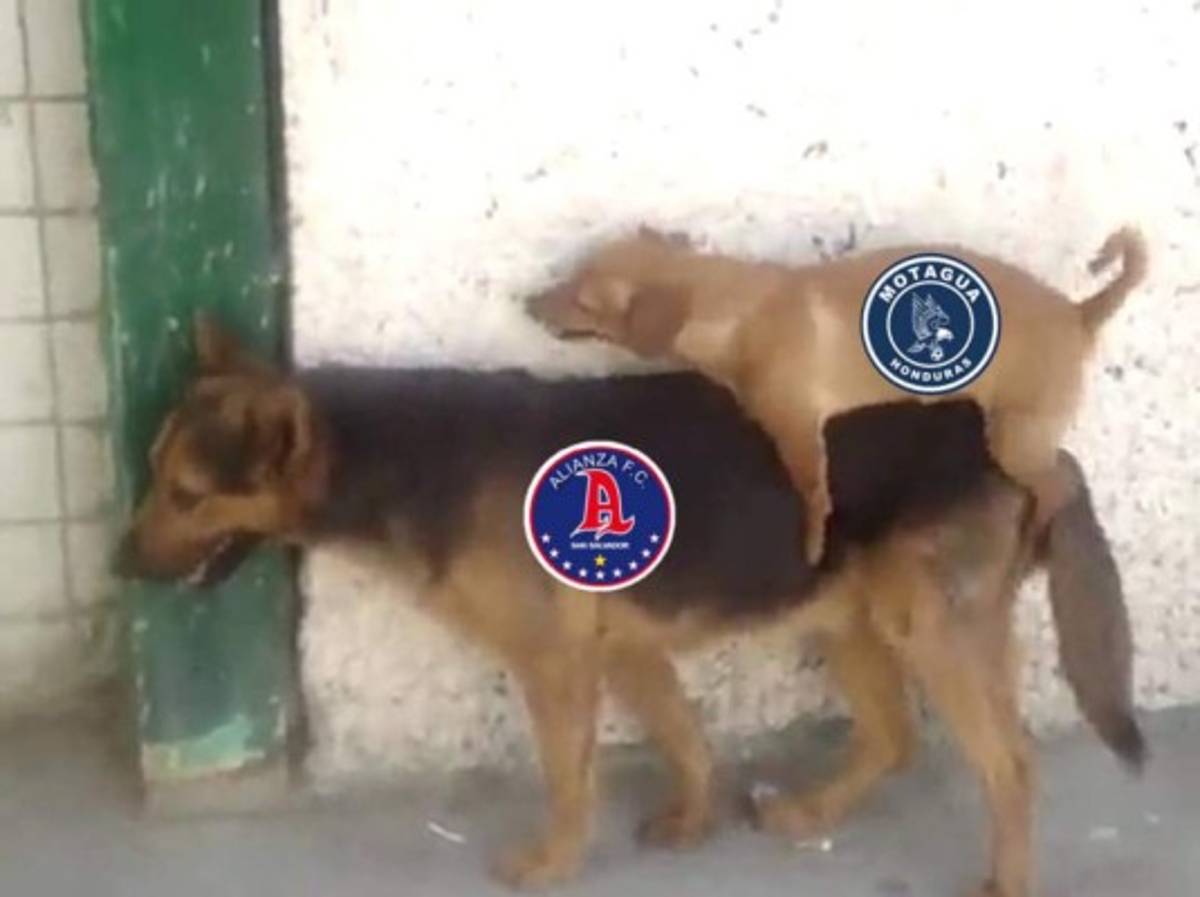 Motagua elimina al Alianza de la Liga de Concacaf y los memes destrozan al fútbol salvadoreño